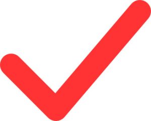 Icon Checkmark Red